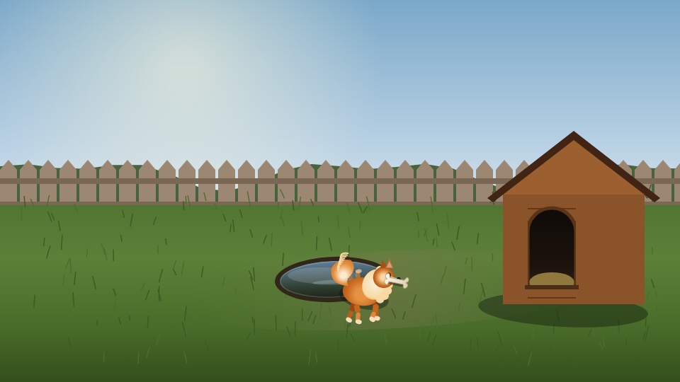 Actual Gemini 3.8 Flash animation preview